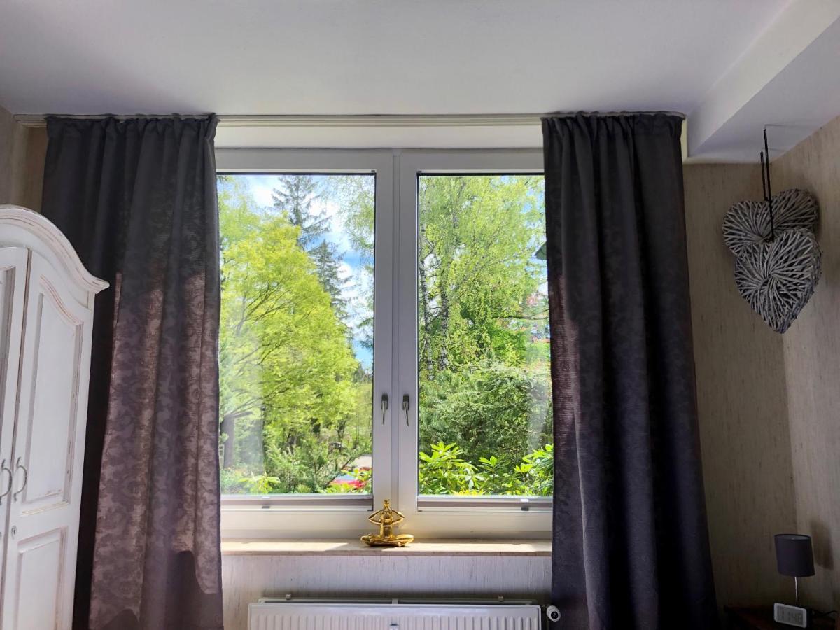 FeWo HarzRomantik Braunlage Bagian luar foto