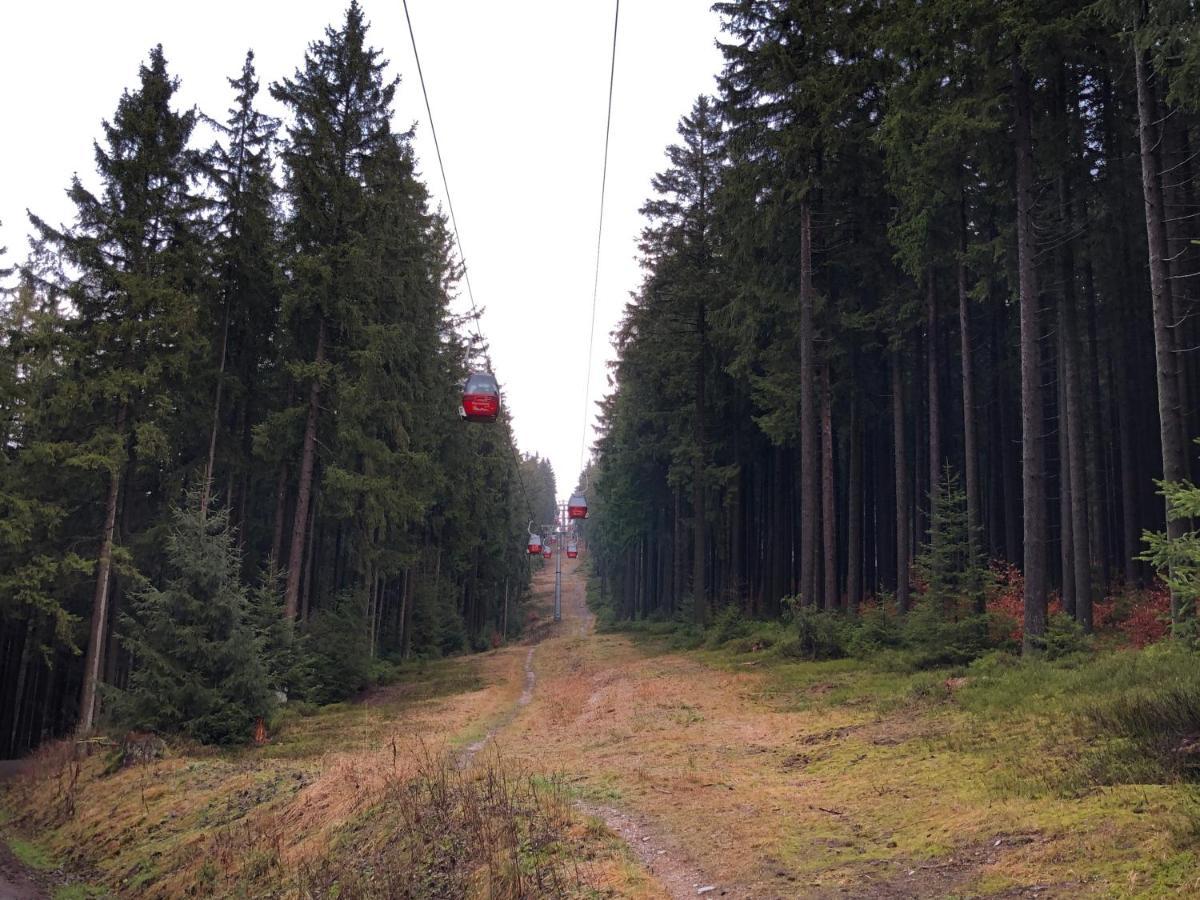 FeWo HarzRomantik Braunlage Bagian luar foto