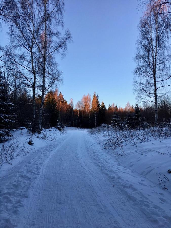 FeWo HarzRomantik Braunlage Bagian luar foto