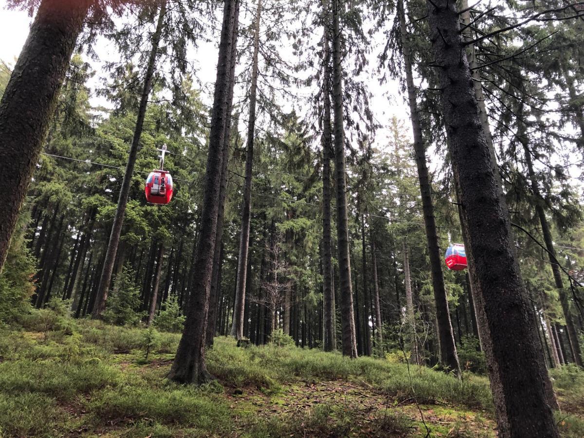 FeWo HarzRomantik Braunlage Bagian luar foto